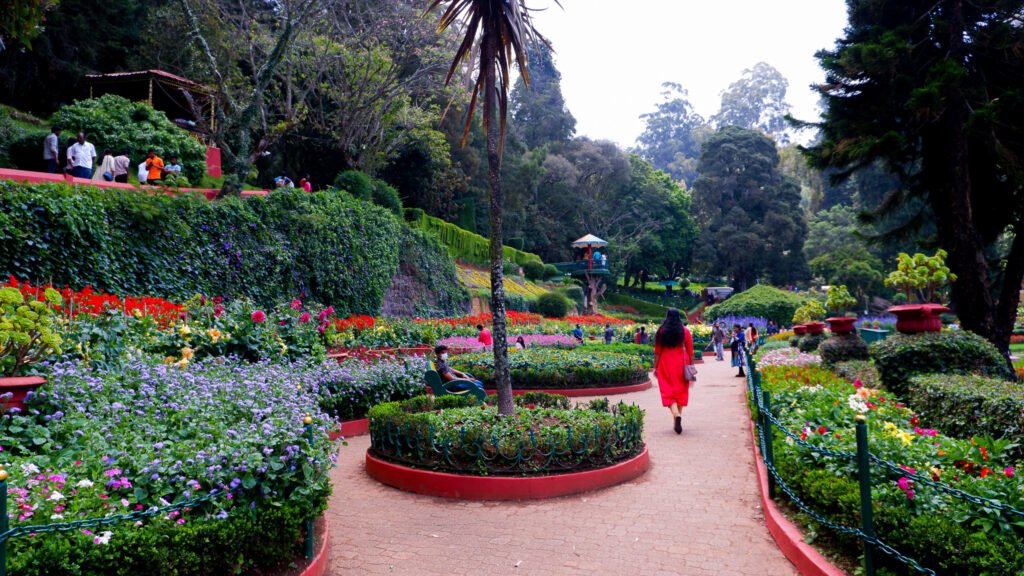 Botanical Garden in Ooty - top 15 places to visit in ooty