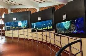Varkala Aquarium- best places to visit in varkala